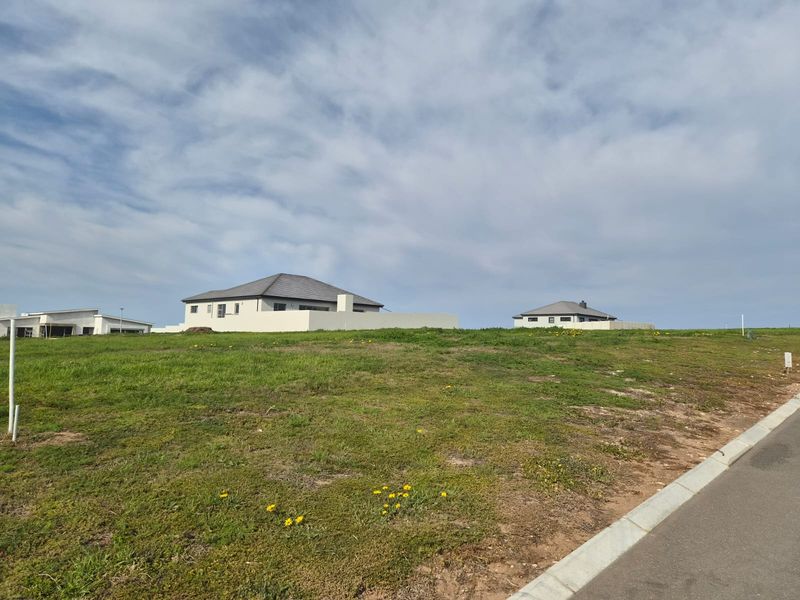 A view of a vacant residential plot featuring established grass, adjacent to a paved road with concrete curbing and nearby modern homes.