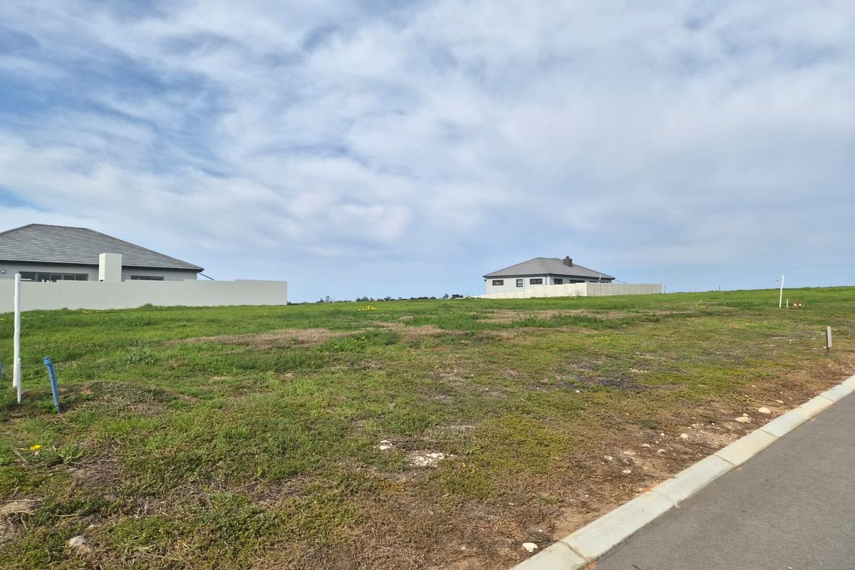 A vacant residential plot featuring a gentle slope, adjacent to a paved road with established boundary walls and neighboring properties.