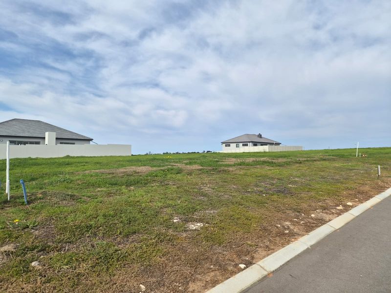 A vacant residential plot featuring a gentle slope, adjacent to a paved road with established boundary walls and neighboring properties.