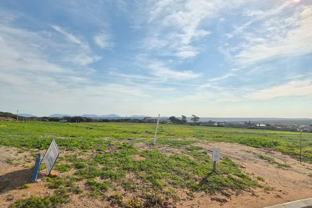 A wide-angle view of a vacant residential plot featuring natural vegetation, boundary markers, and distant landscape views.
