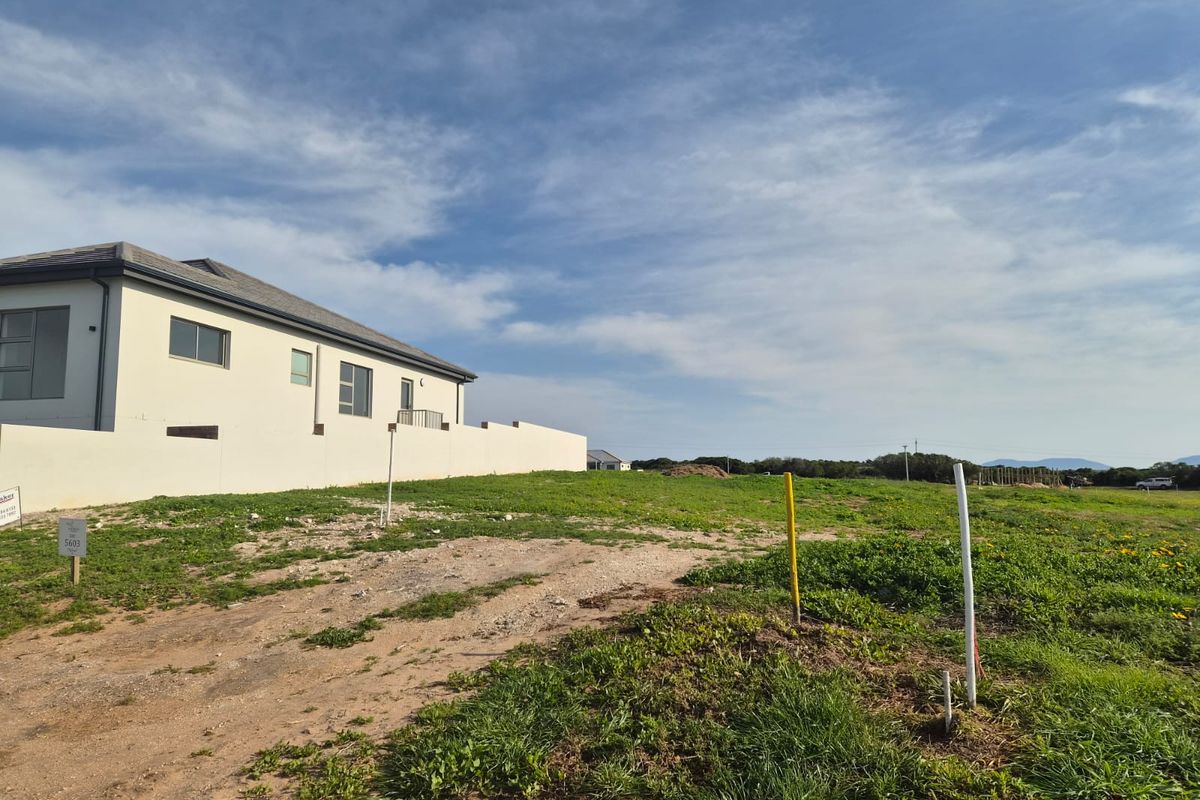 A vacant residential plot featuring natural grass coverage, boundary walling, and clear survey markers, ready for development in a residential estate.