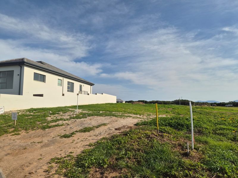 A vacant residential plot featuring natural grass coverage, boundary walling, and clear survey markers, ready for development in a residential estate.