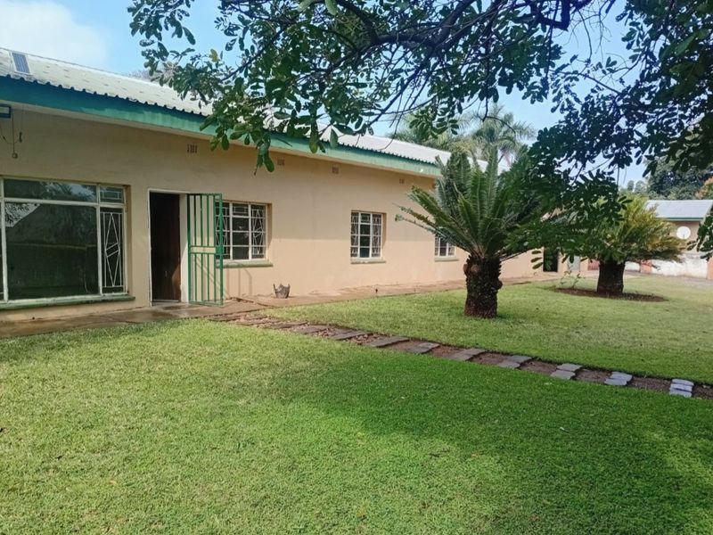 A view of the rear exterior of the house featuring a lawn, paved path, and steel-framed windows with security gates.