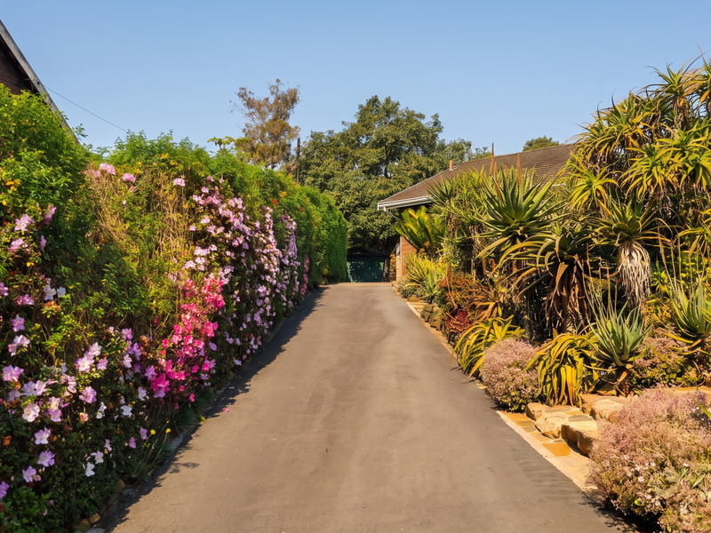 A well-maintained asphalt driveway leading to the property, flanked by lush, established garden beds with flowering shrubs and mature succulents.