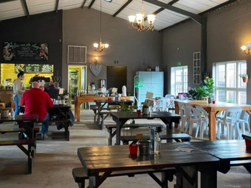Spacious open-plan interior featuring high vaulted ceilings with exposed steel trusses, large windows, and a dedicated service counter area.