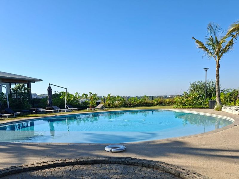 A well-maintained outdoor swimming pool area featuring a paved deck, landscaped garden surroundings, and mature palm trees under a clear blue sky.