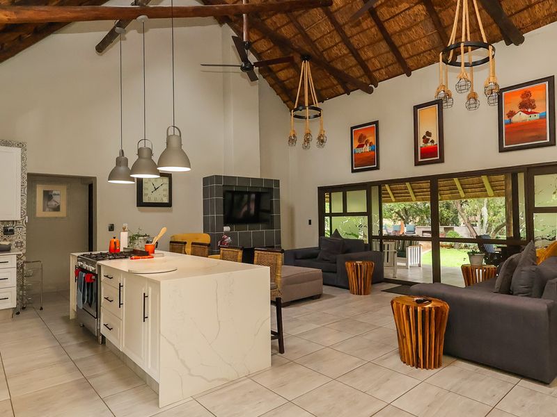 Spacious open-plan living area featuring a modern kitchen with stone island, exposed thatch ceiling with timber beams, and large sliding doors to the garden.