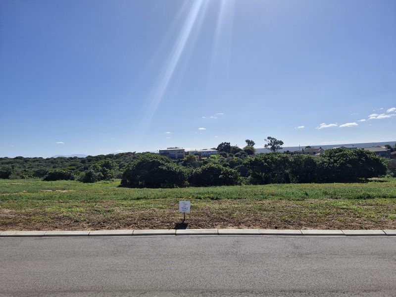 A view of a vacant residential plot from the street, featuring a paved road, concrete curb, and natural vegetation.