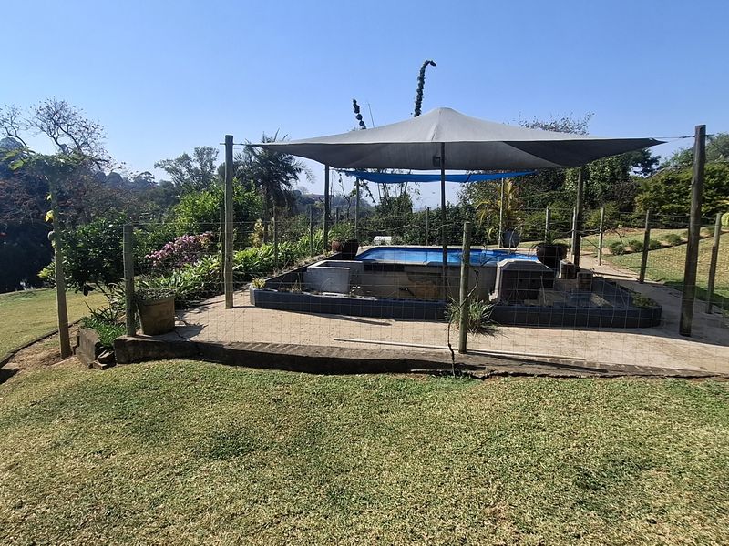 Outdoor pool area featuring a swimming pool with a shade sail, set within a landscaped garden with wire mesh fencing.