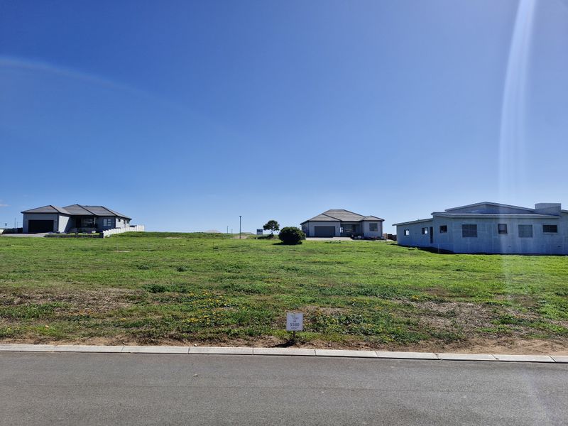 A clear, level vacant residential plot situated in a developed neighborhood with paved road access and surrounding modern homes.
