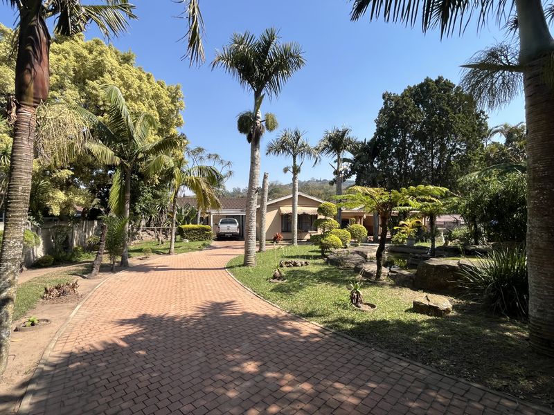 A well-maintained front exterior view featuring a paved driveway, mature palm trees, and a landscaped garden with rock features leading to the house entrance.