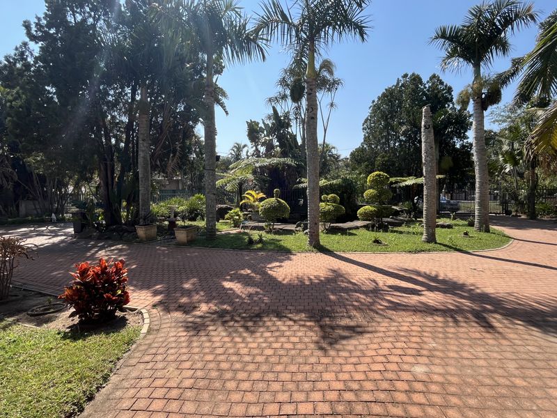 A well-maintained garden area featuring a paved driveway, mature palm trees, and established landscaping, providing a lush and inviting outdoor space.