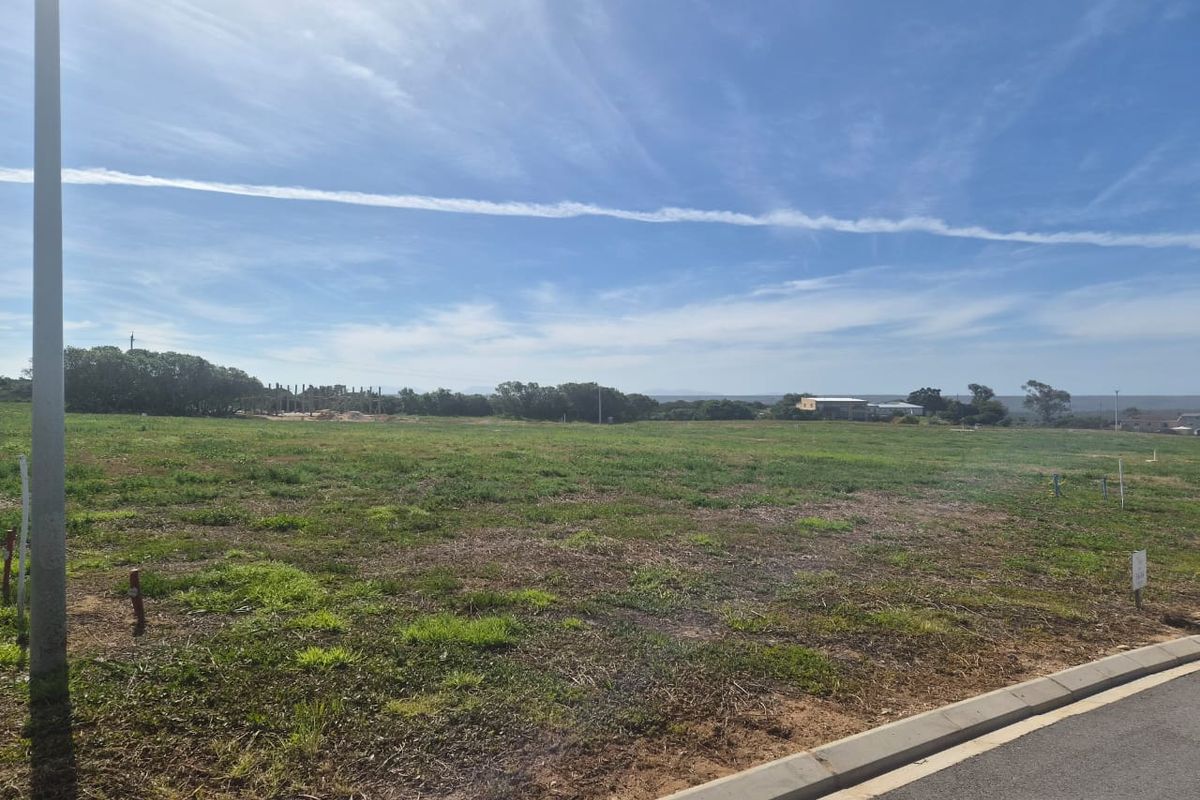 A vacant residential plot of land featuring open grass, a paved curb, and a utility pole, ready for development.
