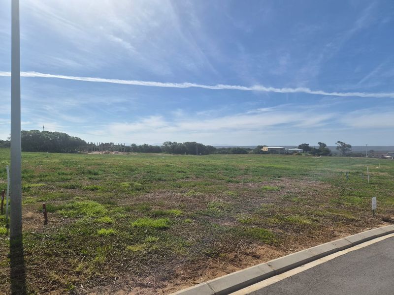 A vacant residential plot of land featuring open grass, a paved curb, and a utility pole, ready for development.