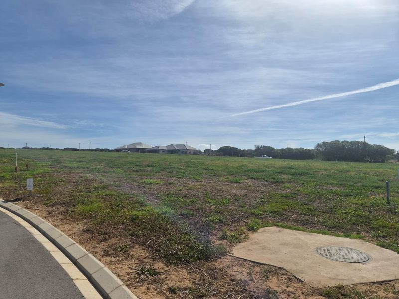A vacant residential plot of land featuring a concrete curb, manhole cover, and access to an asphalt road.