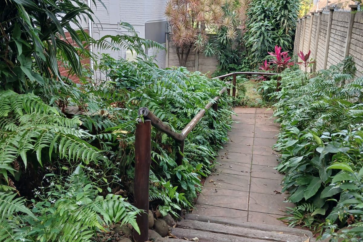 A landscaped rear garden path featuring concrete stairs with a timber handrail leading down to the lower garden area.