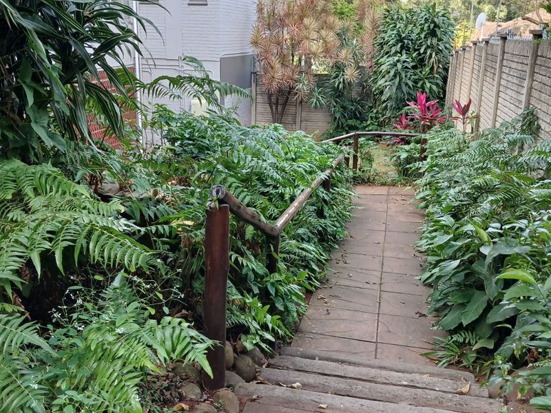 A landscaped rear garden path featuring concrete stairs with a timber handrail leading down to the lower garden area.