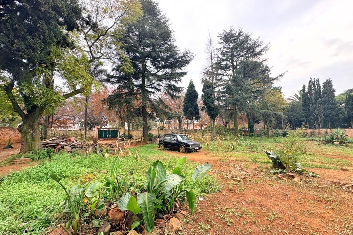 A large, expansive garden area featuring mature trees and a boundary wall, currently requiring significant landscaping and maintenance.