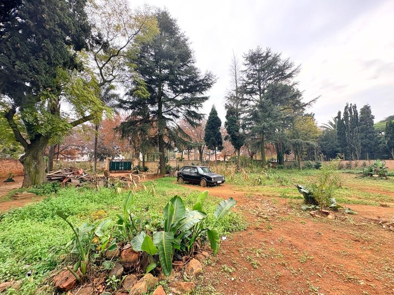 A large, expansive garden area featuring mature trees and a boundary wall, currently requiring significant landscaping and maintenance.