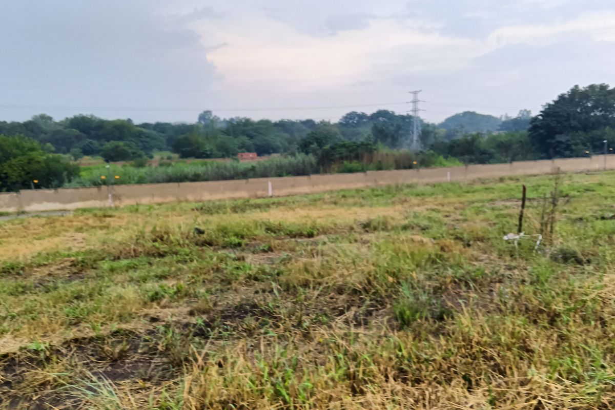 A view of a vacant residential plot featuring natural grass coverage and a perimeter boundary wall with surrounding greenery.