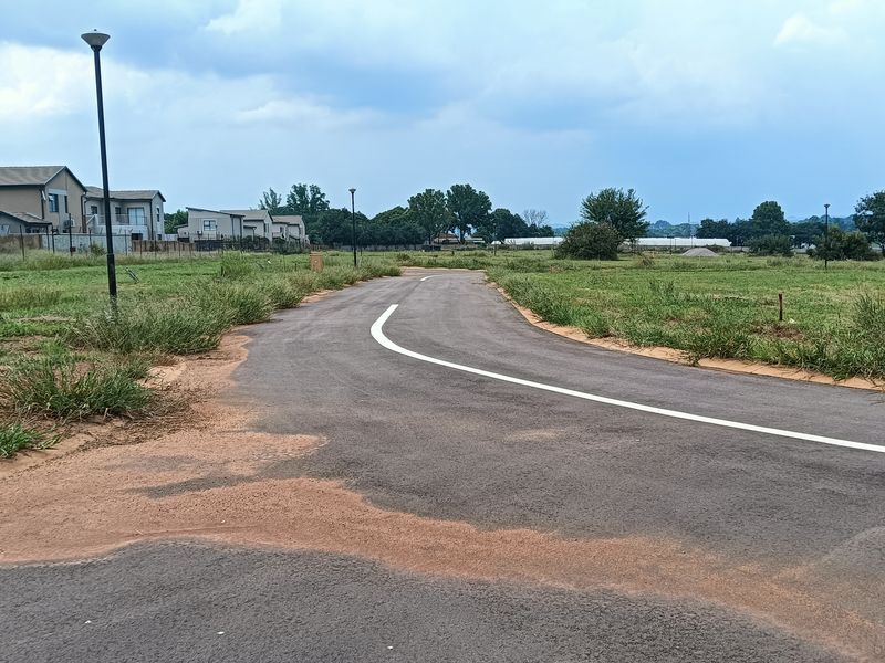 A view of a paved residential street within a developing estate, featuring street lighting and surrounding vacant land plots.