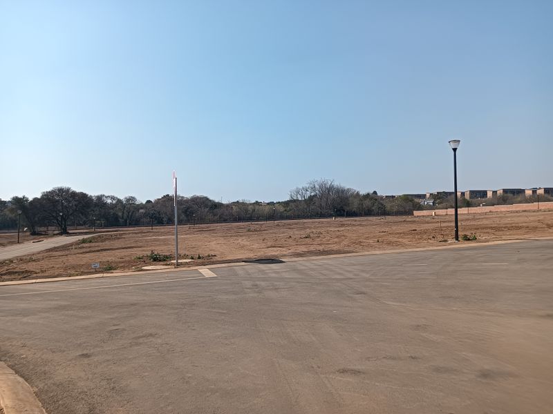 A vacant residential plot situated on a corner lot with paved road access and existing street lighting infrastructure.