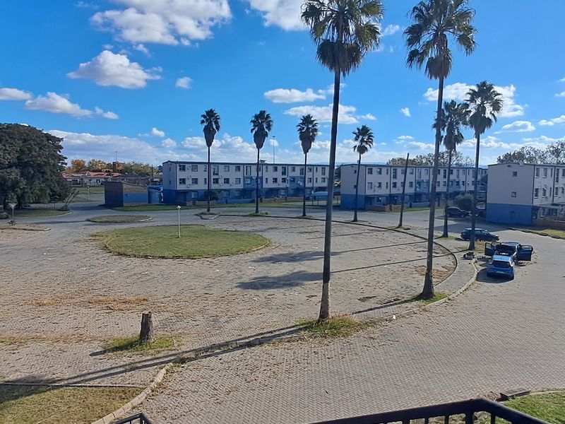 An elevated view overlooking a paved residential complex courtyard featuring mature palm trees and surrounding apartment buildings.