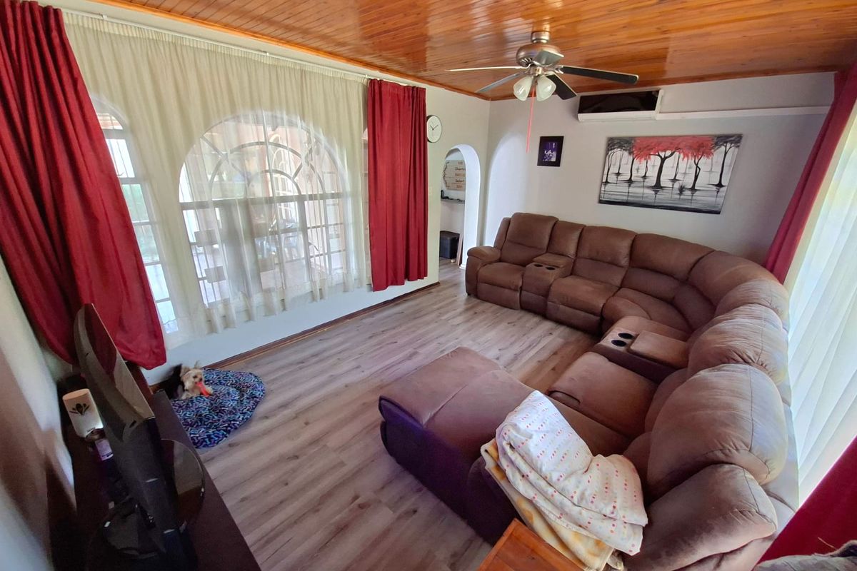 A comfortable living room featuring a warm timber-paneled ceiling, laminate flooring, and an arched window that allows for natural light.