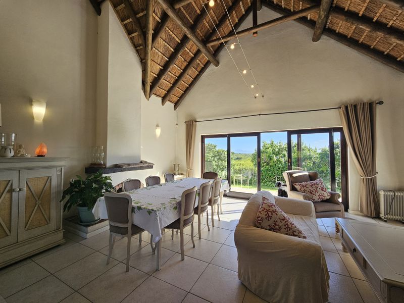 Spacious open-plan living and dining area featuring a high vaulted thatched ceiling with exposed timber trusses, tiled floors, and large sliding doors to the garden.
