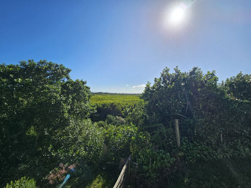 A scenic outdoor view overlooking a lush green landscape and dense vegetation, captured on a bright, sunny day.