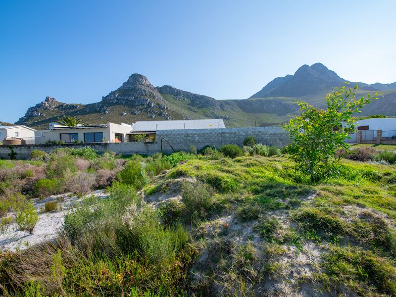 A view of the vacant residential plot featuring natural vegetation, enclosed by a boundary wall with electric fencing, set against a scenic mountain backdrop.