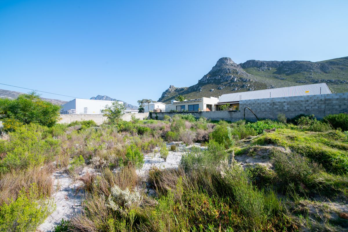 A view of a vacant residential plot featuring natural fynbos vegetation, enclosed by a perimeter wall with mountain views in the background.