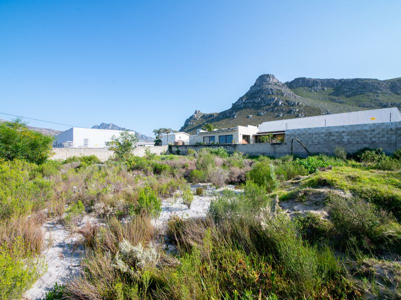 A view of a vacant residential plot featuring natural fynbos vegetation, enclosed by a perimeter wall with mountain views in the background.