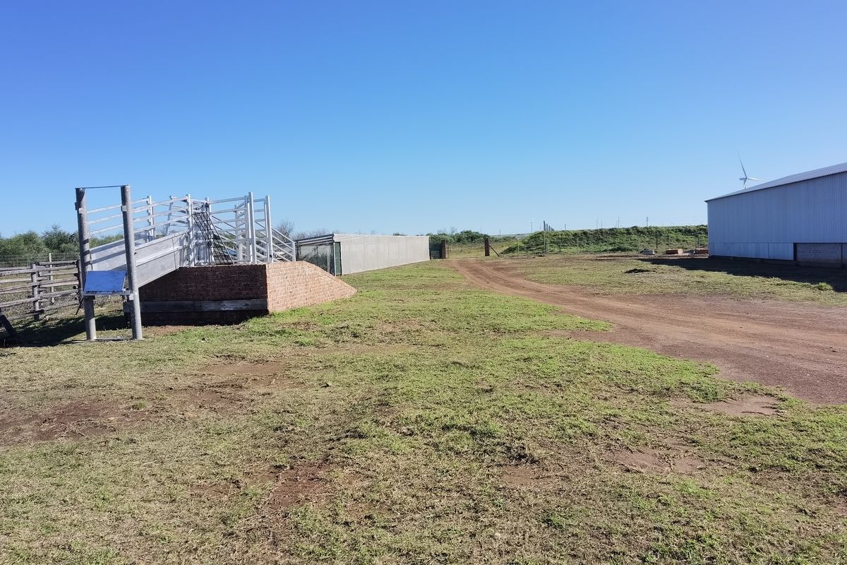 A view of the property grounds featuring a cattle loading ramp, metal fencing, and a large corrugated metal shed structure.
