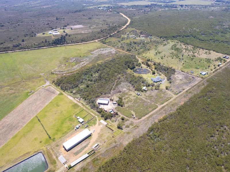 Aerial view of a large residential land holding featuring multiple agricultural sheds, a farm dam, fenced paddocks, and a primary residential dwelling.
