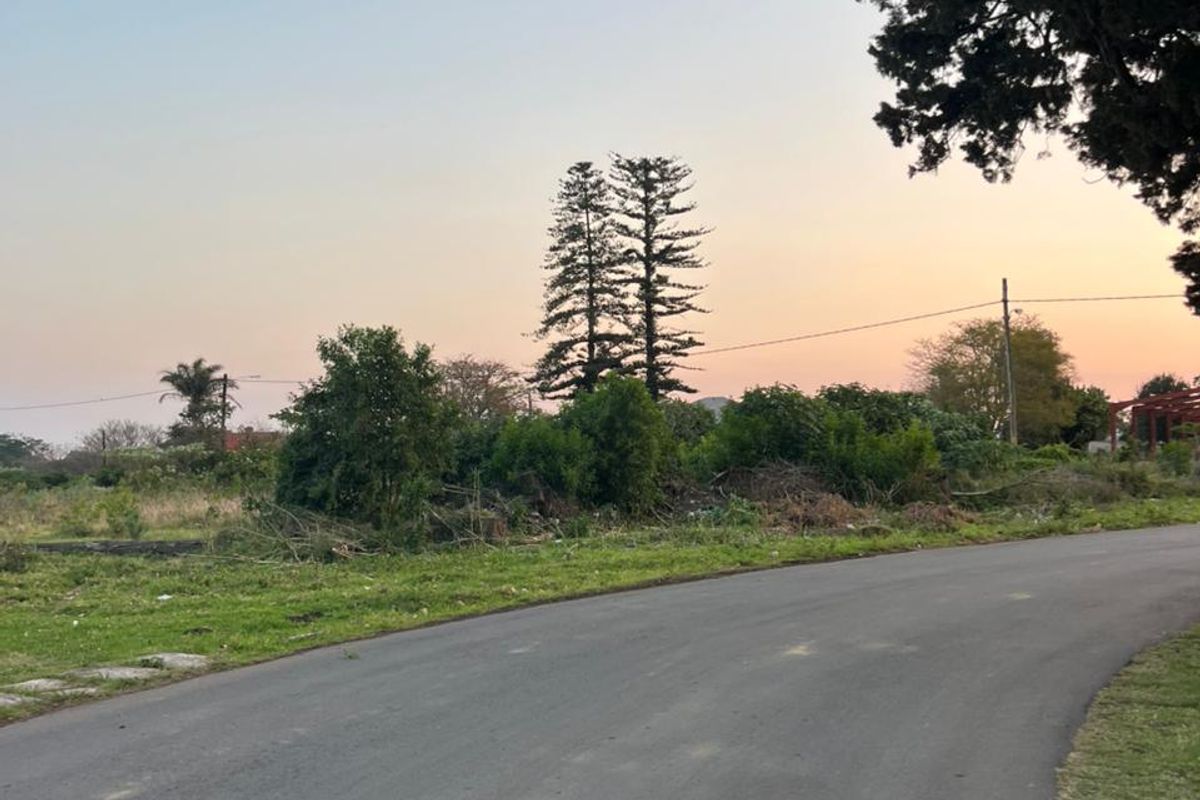 A view of the asphalt street frontage and surrounding landscape, featuring mature trees and overhead utility lines.