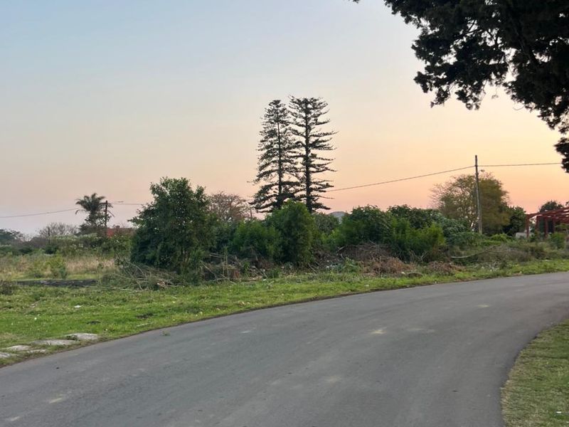 A view of the asphalt street frontage and surrounding landscape, featuring mature trees and overhead utility lines.