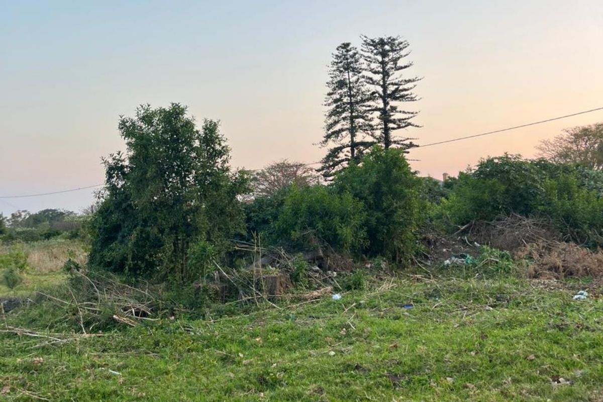 A view of a vacant residential plot featuring natural grassland and mature trees, requiring clearing and landscaping.