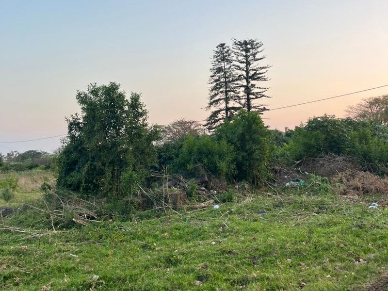 A view of a vacant residential plot featuring natural grassland and mature trees, requiring clearing and landscaping.