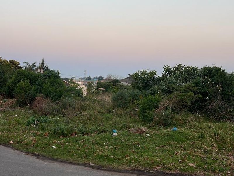 A view of the street frontage showing the vacant residential land with natural vegetation and access to the paved road.