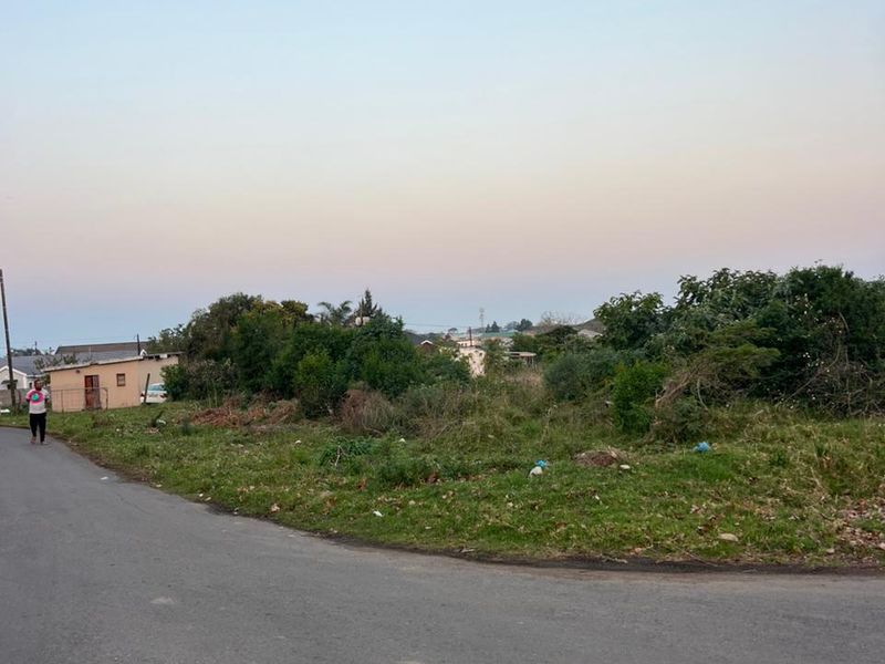 A street-level view of an undeveloped residential plot featuring natural vegetation and direct access to a paved road.