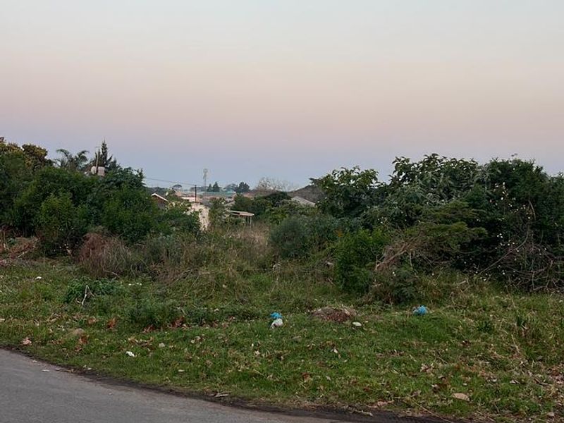 A view of the street frontage and surrounding vegetation of the vacant residential land plot.