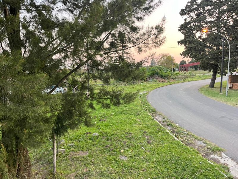 A view of the asphalt street and surrounding grass verge with mature trees and street lighting in a residential area.