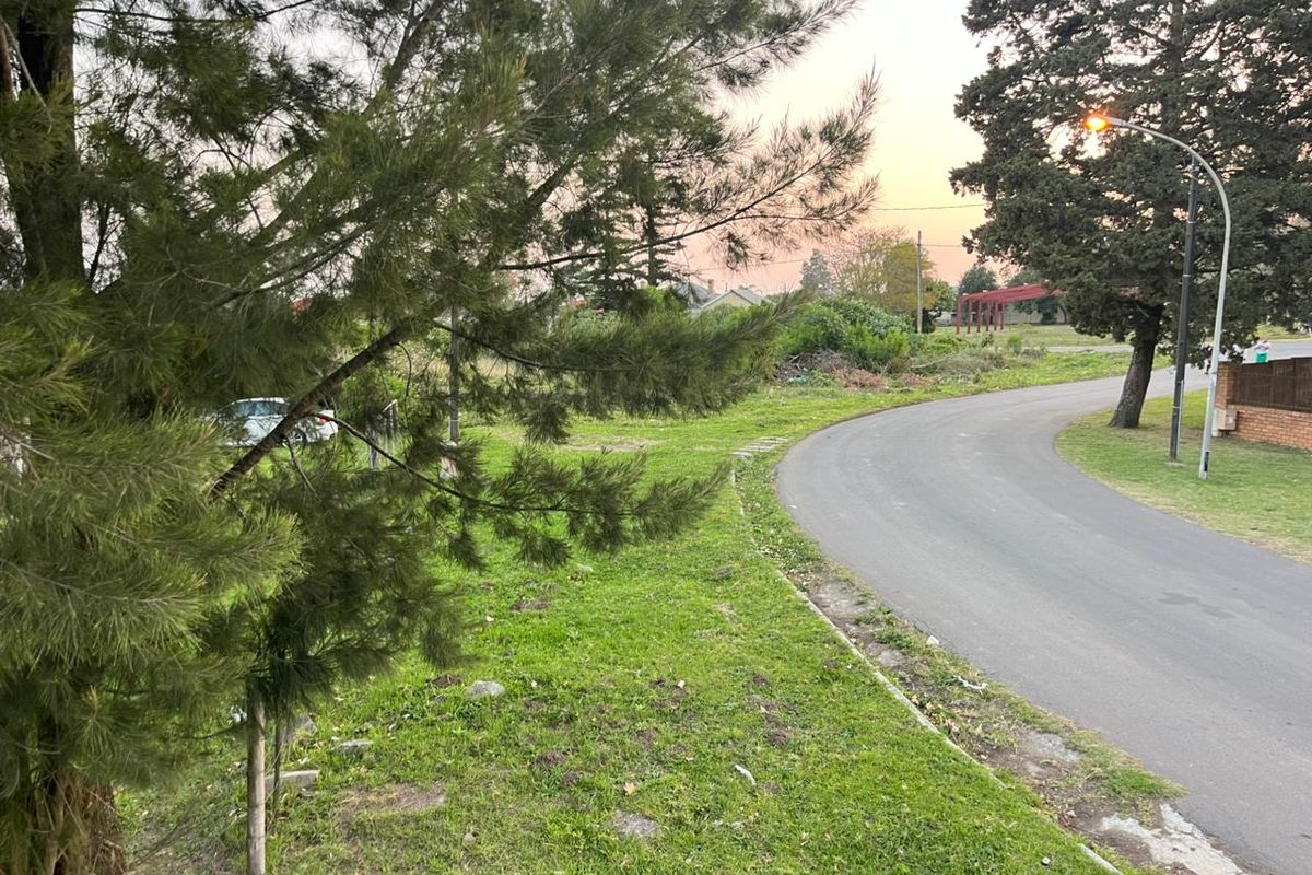A view of the asphalt street and grass verge adjacent to the vacant residential land.