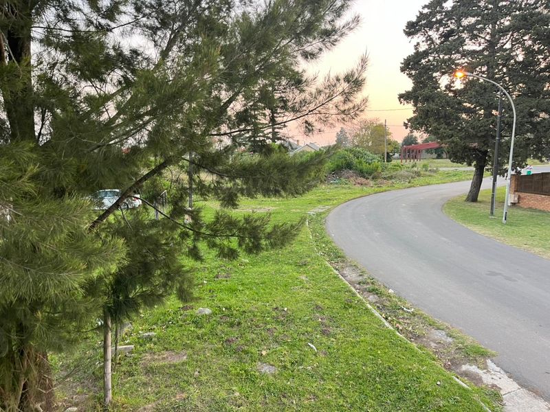 A view of the asphalt street and grass verge adjacent to the vacant residential land.