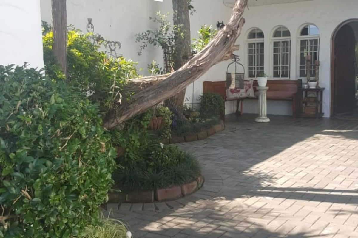 A private paved courtyard featuring mature trees, landscaped garden beds, and an arched entrance leading into the townhouse with an overhead balcony.