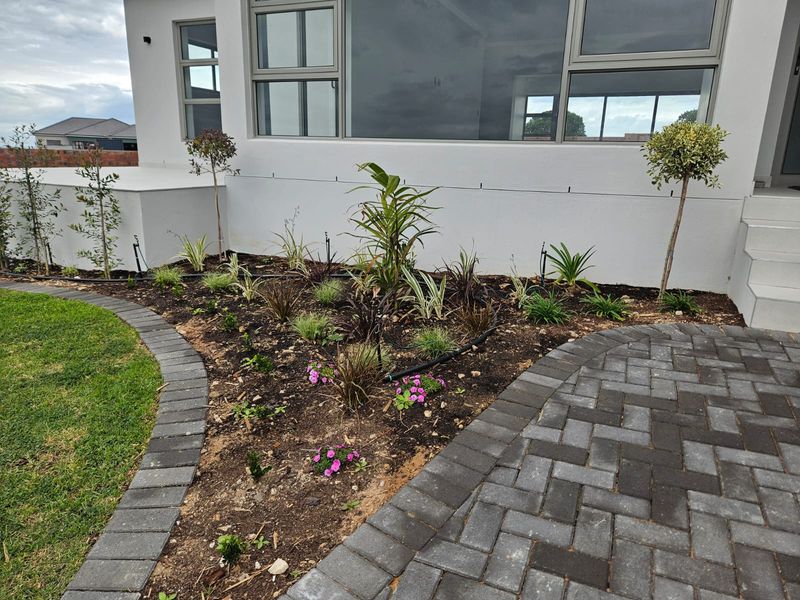 A well-maintained garden bed featuring young landscaping, an irrigation system, and a neat paved walkway adjacent to the modern house exterior.