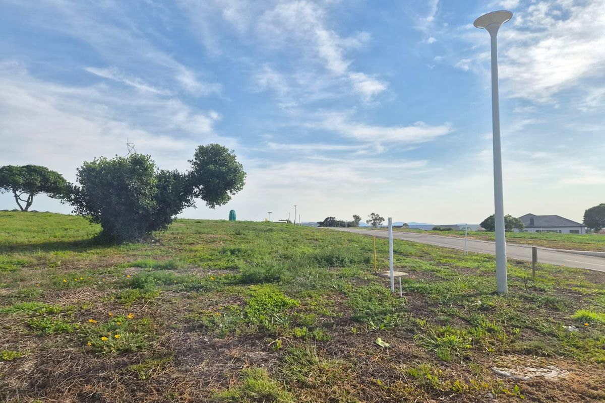 A vacant residential plot featuring natural vegetation, a street light, and access to road infrastructure.