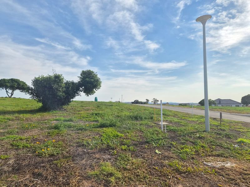 A vacant residential plot featuring natural vegetation, a street light, and access to road infrastructure.