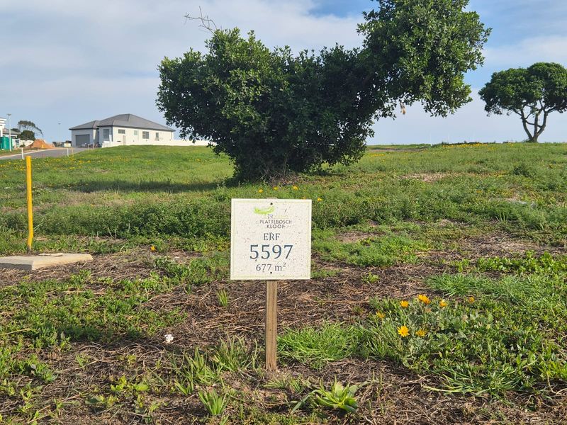 A vacant residential plot of 677 square meters in Plattebosch Kloof, featuring established trees and clear boundary signage.